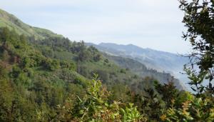 A short drive to the Big Sur coastline