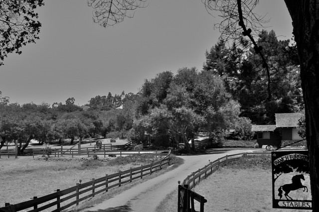 Horse Sanctuary Northern California