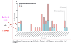 Coronavirus hospital chart