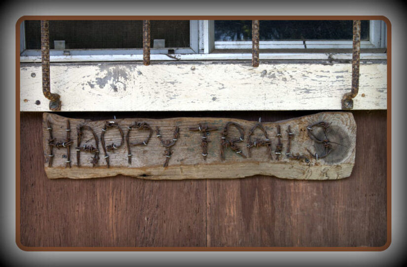 Photo Gallery Happy Trails